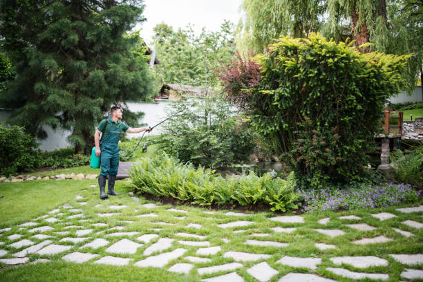 Best Commercial Pest Control Services  in Youngsville, LA