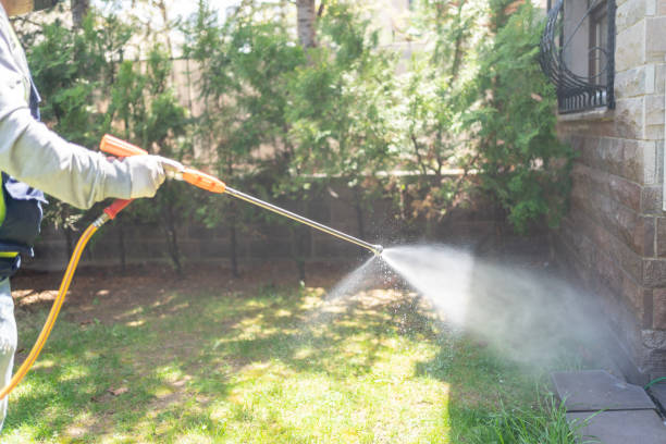 Professional Pest Control in Youngsville, LA