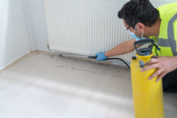 Best Cockroach Control Services  in Youngsville, LA